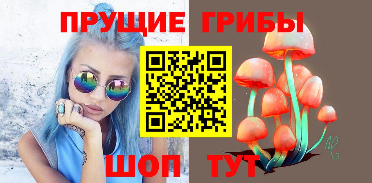 Улан-Удэ  Галлюциногенные грибы Psilocybe  Галлюциногенные грибы Cubensis  Вход с VPN 